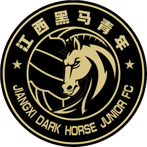 江西黑馬青年